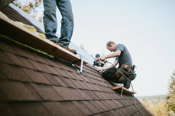 Best Roof Gutter Cleaning  in Queensland, MD